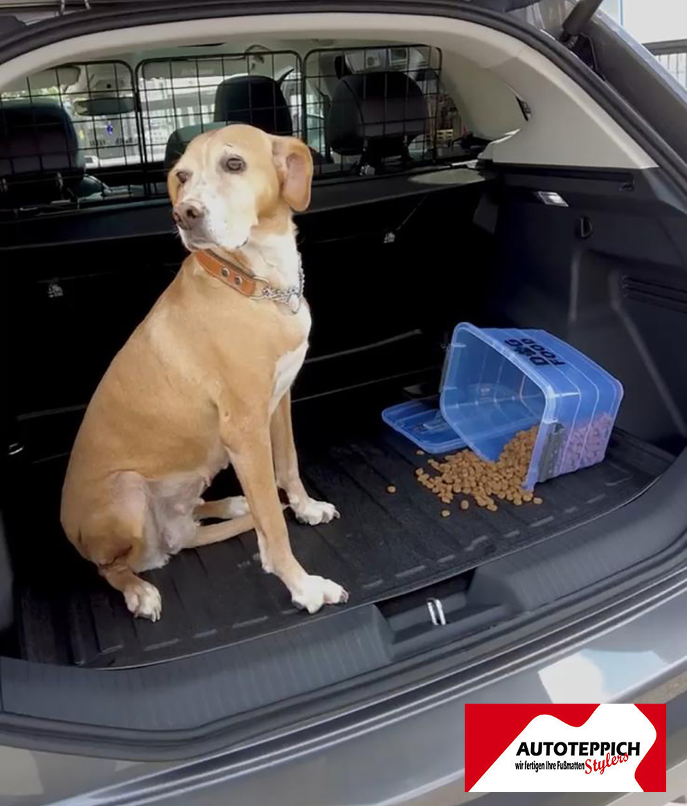Der Hund Bella sitzt auf einer Kofferraumwanne von Autoteppich Stylers, auf der auch Hundefutter liegt.